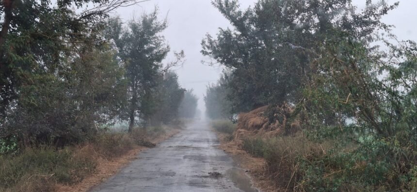 Jind temprature: Cold and chill increased due to light rain in Jind, chances of fog from tomorrow, rain again on 26th.