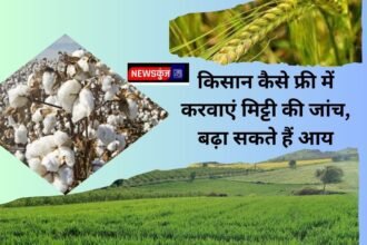 Jind's land is suitable for which farming, how farmers can get their soil tested for free, they can increase their income.