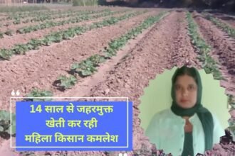 Kisan story Kamlesh, a woman farmer from Nidana village of Jind, who has been doing poison-free farming for 14 years, honored on Farmers Day.