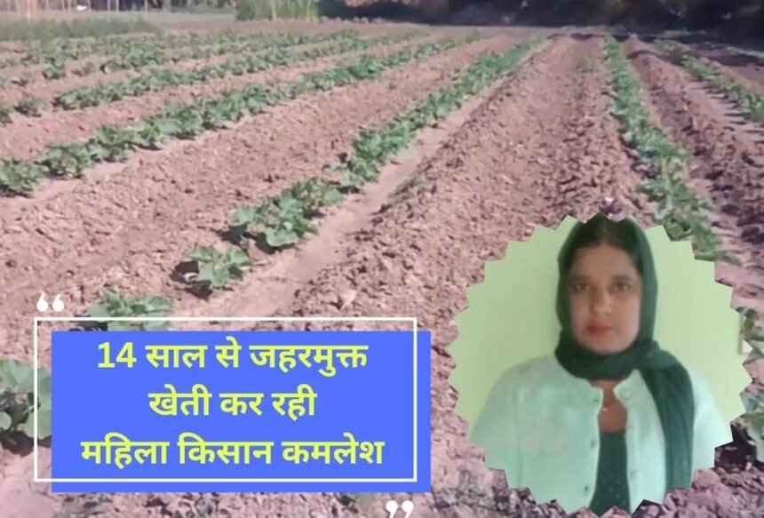 Kisan story Kamlesh, a woman farmer from Nidana village of Jind, who has been doing poison-free farming for 14 years, honored on Farmers Day.