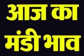 Peddy Mandi Rates: धान बेचने से पहले देखें हरियाणा की मंडियों के 7 दिसंबर के ताजा भाव, जानें 1121, 1509, 1718 और अन्य किस्मों के मंडी रेट