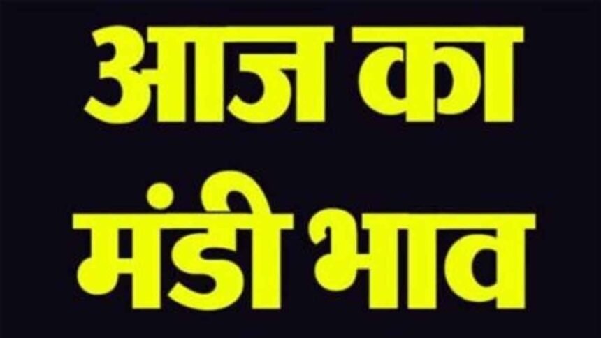 Peddy Mandi Rates: धान बेचने से पहले देखें हरियाणा की मंडियों के 7 दिसंबर के ताजा भाव, जानें 1121, 1509, 1718 और अन्य किस्मों के मंडी रेट