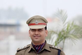 What study is required to become a DSP?