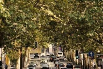 Find out in a minute whether your vehicle has been challaned or not.