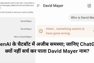 David Mayer bug in openai chatpgt no respond ai news