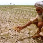 Haryana Kisan Bonus: खुशखबरी! हरियाणा में 20 एकड़ तक के सभी किसानों को मिलेगा 2000 रुपये प्रति एकड़ का बोनस