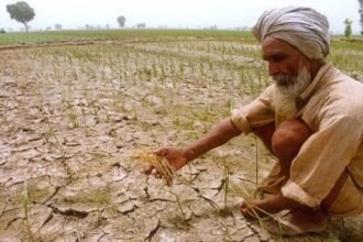 Haryana Kisan Bonus: खुशखबरी! हरियाणा में 20 एकड़ तक के सभी किसानों को मिलेगा 2000 रुपये प्रति एकड़ का बोनस