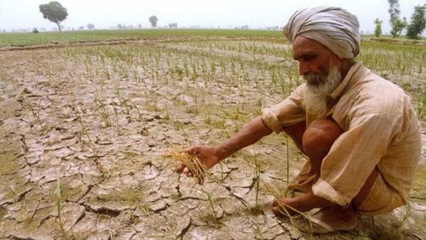 Haryana Kisan Bonus: खुशखबरी! हरियाणा में 20 एकड़ तक के सभी किसानों को मिलेगा 2000 रुपये प्रति एकड़ का बोनस