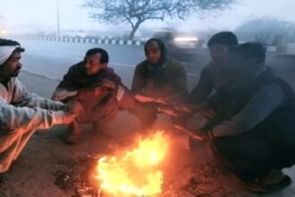 Haryana cold wave: Advisory issued regarding protection from cold wave in Haryana