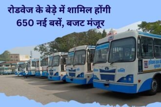 Haryana roadways: 650 new buses will be included in Haryana Roadways, budget of Rs 300 crore approved