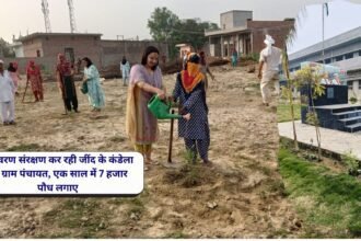 Gram Panchayat of Kandela, Jind is conserving the environment, plants 7 thousand saplings in a year