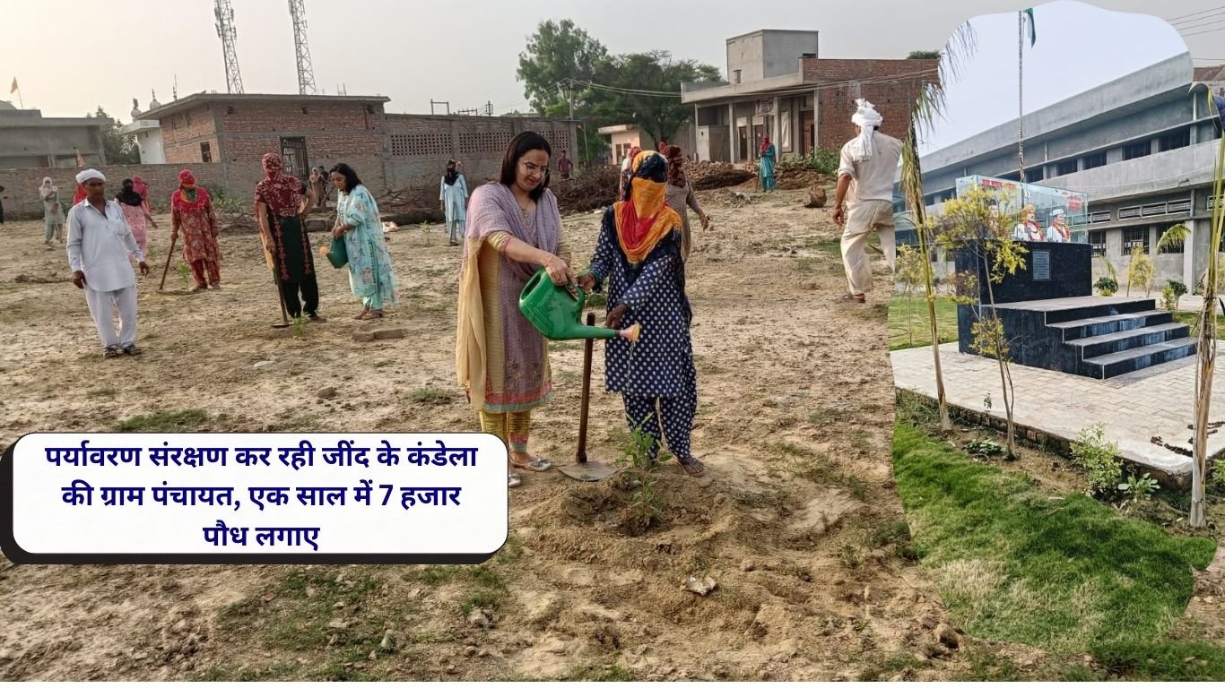 Gram Panchayat of Kandela, Jind is conserving the environment, plants 7 thousand saplings in a year