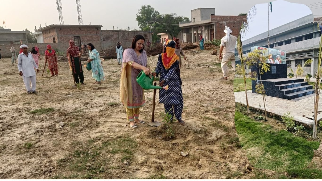 Gram Panchayat of Kandela, Jind is conserving the environment, plants 7 thousand saplings in a year