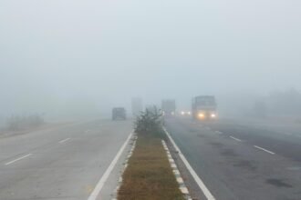 Haryana weather: Dense fog blankets 11 districts of Haryana, rain alert today and tomorrow