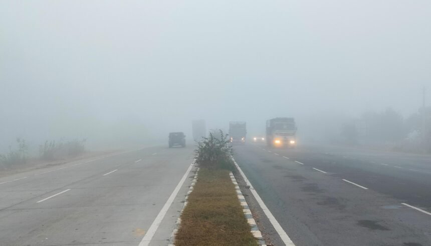 Haryana weather: Dense fog blankets 11 districts of Haryana, rain alert today and tomorrow