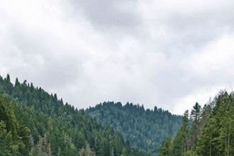 Now people of Haryana will be able to easily go to Katra, this highway will pass through this district.