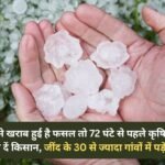 If the crop is damaged due to hailstorm, farmers should inform the agriculture department within 72 hours, hailstorm occurred in more than 30 villages of Jind