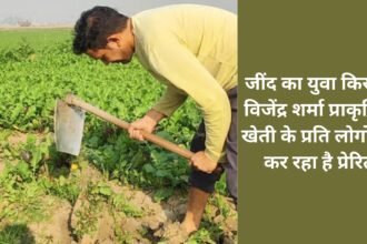 Young farmer Vijendra Sharma of Jind is motivating people towards natural farming