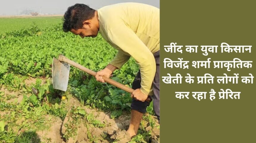 Young farmer Vijendra Sharma of Jind is motivating people towards natural farming