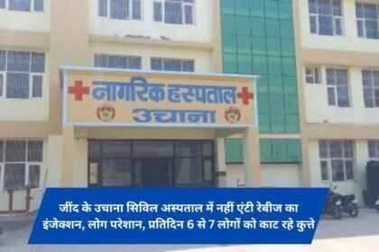 Jind Ke Uchana Civil Hospital is not injecting anti-rabies, people are bothered, dogs are biting 6 to 7 people every day