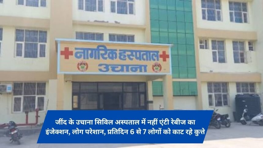 Jind Ke Uchana Civil Hospital is not injecting anti-rabies, people are bothered, dogs are biting 6 to 7 people every day