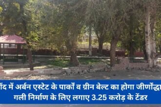 Tender of Rs 3.25 crore for renovation of parks and green belt of Urban Estate in Jind, construction of streets