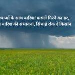 Rain with strong winds in Jind! Fear of crop damage, possibility of rain today and tomorrow, farmers should stop irrigation