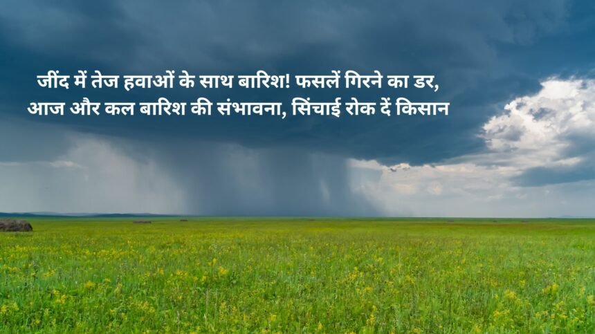 Rain with strong winds in Jind! Fear of crop damage, possibility of rain today and tomorrow, farmers should stop irrigation