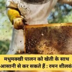 Beekeeping can be done easily with farming: Raman Shilwant