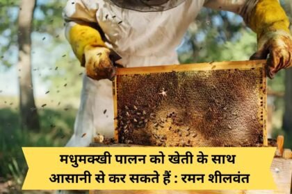 Beekeeping can be done easily with farming: Raman Shilwant