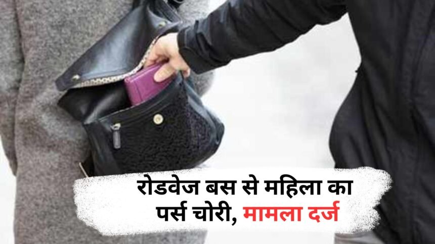 Woman's purse stolen from roadways bus, case registered