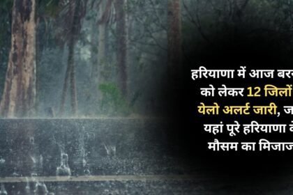 Yellow alert issued in 12 districts of Haryana regarding rain today, know the weather condition of entire Haryana here