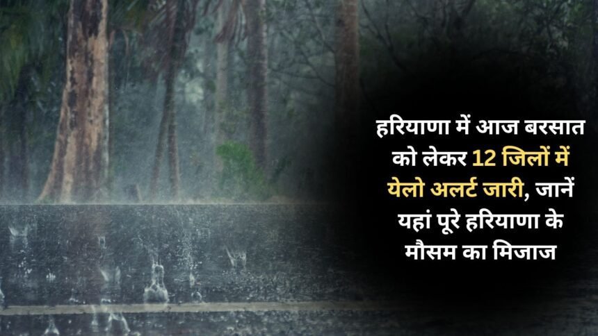 Yellow alert issued in 12 districts of Haryana regarding rain today, know the weather condition of entire Haryana here