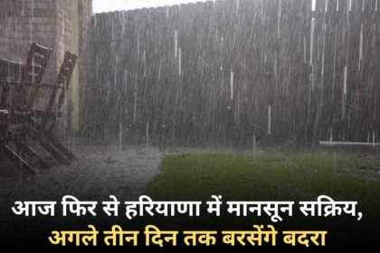 Monsoon is active again in Haryana today, it will rain for the next three days