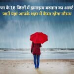 Heavy rain alert issued in 16 districts of Haryana, know here how the weather will be in your city