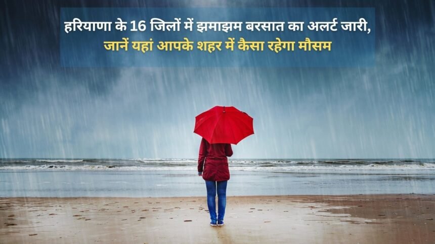 Heavy rain alert issued in 16 districts of Haryana, know here how the weather will be in your city