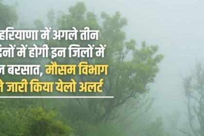 There will be heavy rain in these districts of Haryana in the next three days, Meteorological Department has issued a yellow alert