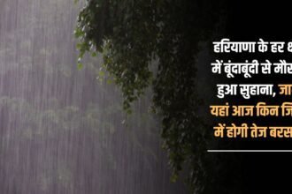 Weather became pleasant due to drizzle in every area of Haryana, know which districts will receive heavy rain today