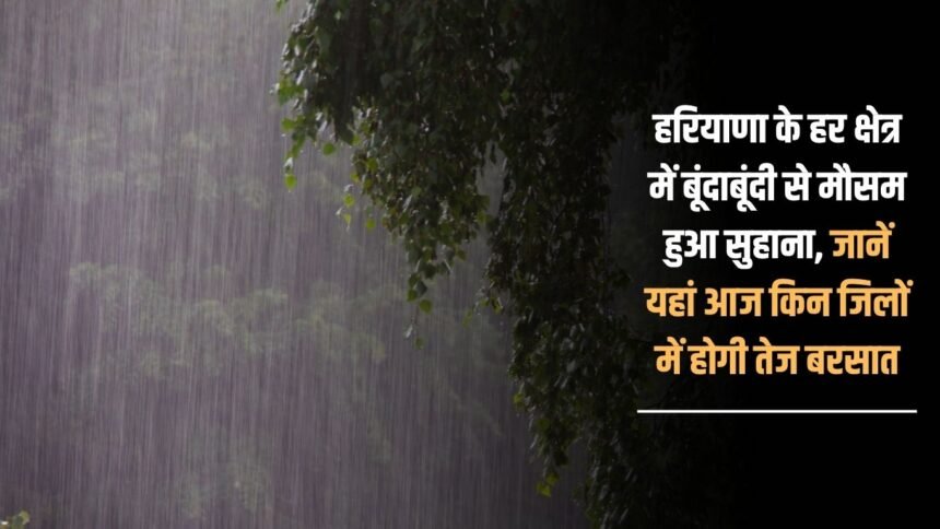 Weather became pleasant due to drizzle in every area of Haryana, know which districts will receive heavy rain today