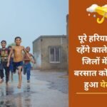 Dark clouds will remain in the whole of Haryana, yellow alert has been issued for heavy rain in 19 districts