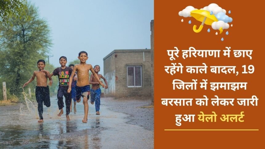 Dark clouds will remain in the whole of Haryana, yellow alert has been issued for heavy rain in 19 districts