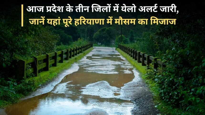 Yellow alert issued in three districts of the state today, know the weather condition in entire Haryana here