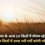 Weather will be clear in 14 districts of Haryana today, humid heat will trouble people in these districts