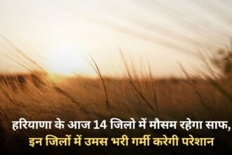 Weather will be clear in 14 districts of Haryana today, humid heat will trouble people in these districts