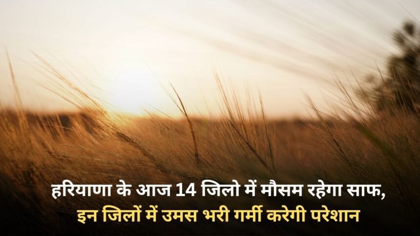 Weather will be clear in 14 districts of Haryana today, humid heat will trouble people in these districts