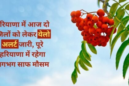 Yellow alert issued for two districts in Haryana today, almost clear weather will prevail in entire Haryana