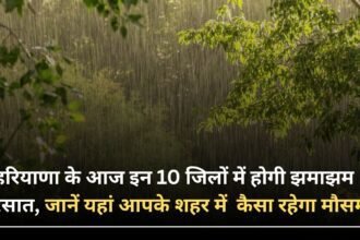 There will be heavy rain in these 10 districts of Haryana today, know how the weather will be in your city here