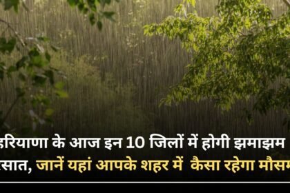 There will be heavy rain in these 10 districts of Haryana today, know how the weather will be in your city here