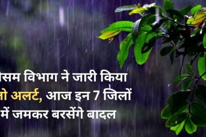 Meteorological Department has issued yellow alert, today it will rain heavily in these 7 districts