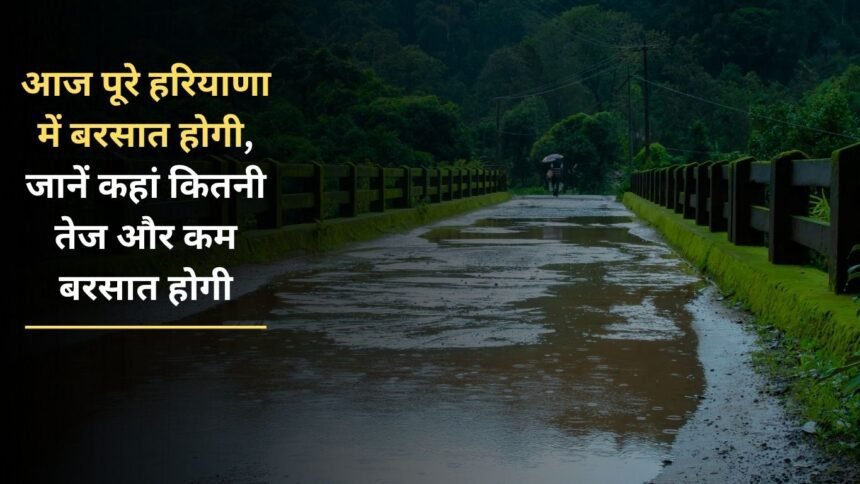 Today it will rain all over Haryana, know where it will rain heavily and less